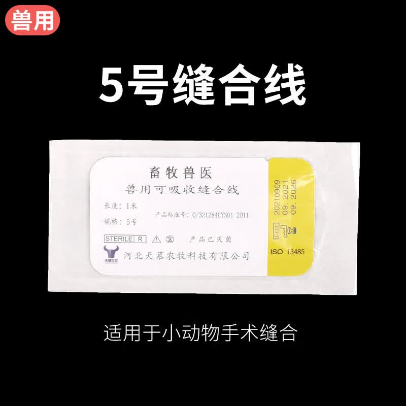 建功兽用缝合线外科手术免拆可吸收羊肠线宠物用缝合线可吸收性肉线 5