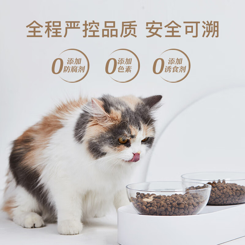 网易严选全价猫粮刚满月小猫能吃么？