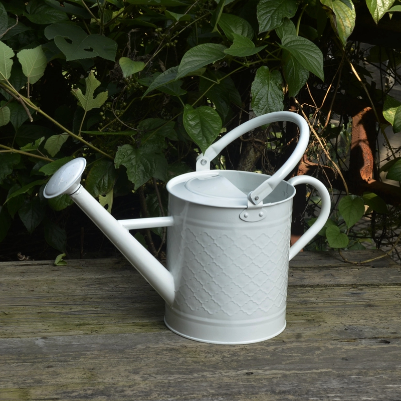 奇纯铁制园艺多肉植物活动喷头大浇水洒水壶多色高品质 白色