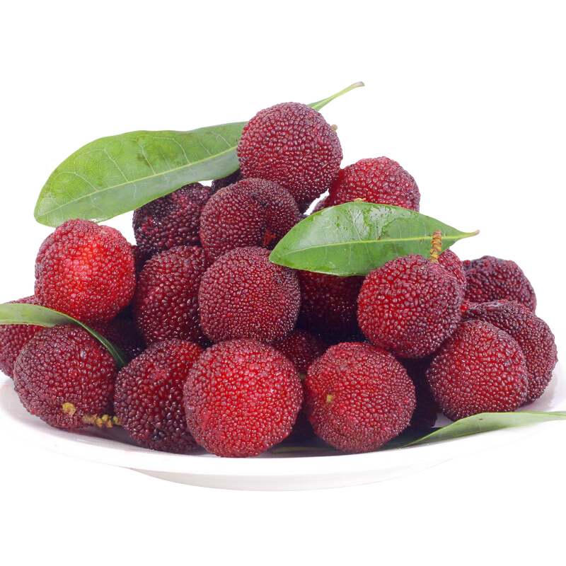 ʰ������÷ �ɾ������䶳��÷��������Ӧ������ʱ��ˮ������ 2��װ 49.63Ԫ