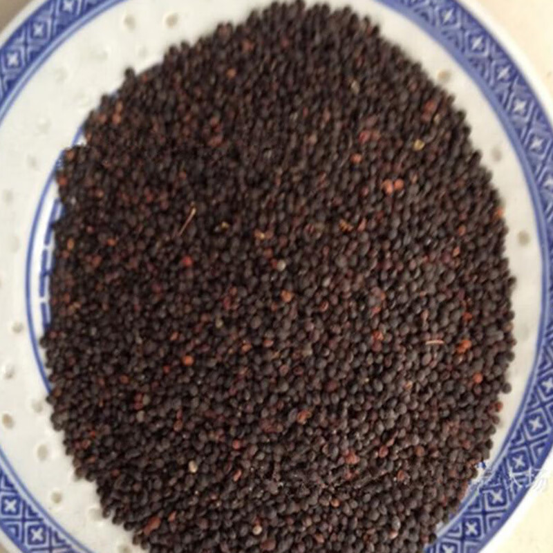 韵久车桑子种子林木种子坡柳种子明油子种子铁扫把明子柴种子植物种籽