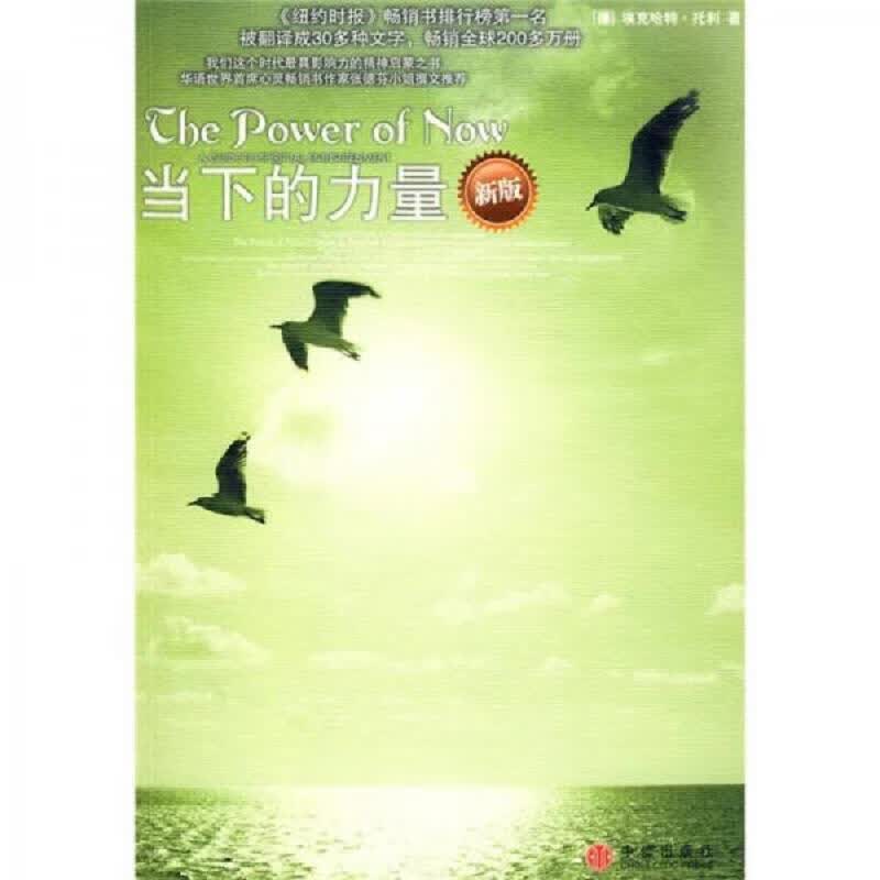 [正版图书] 当下的力量 [德]托利 中信出版社 9787508614007