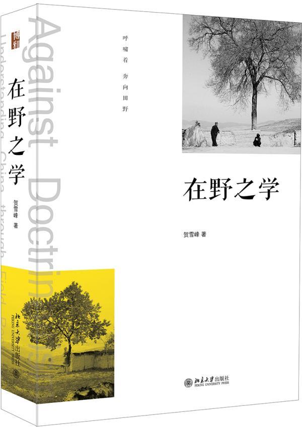 在野之学贺雪峰北京大学出版社有限公司9787301316221 政治/军事书籍