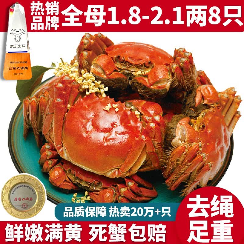 【活蟹】蟹爵大闸蟹鲜活螃蟹现货生鲜水产礼盒 全母1.8-2.1两8只使用感如何?