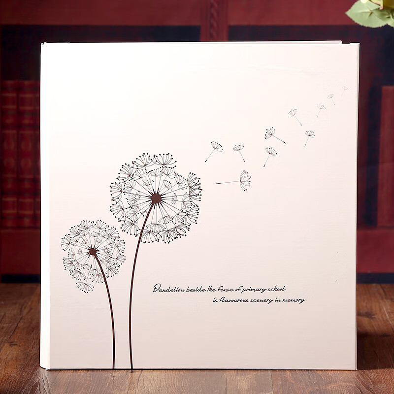 插页式塑封6寸过塑照片800张宝宝成长纪念册 蒲公英 可放500张照片