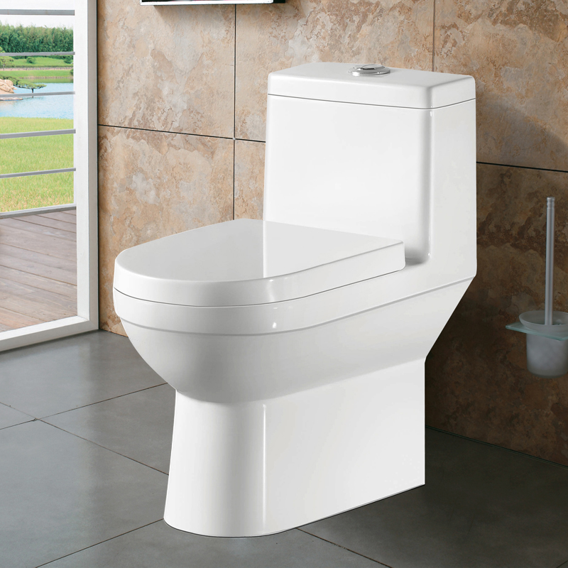 双孔超漩式马桶 300坑距