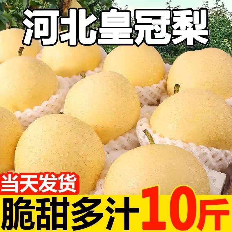 秘阅新鲜梨子河北皇冠梨整箱当季水果现摘砀山皇冠梨脆甜多汁产地直发