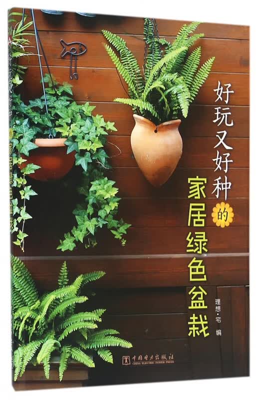 好玩又好种的家居绿色盆栽