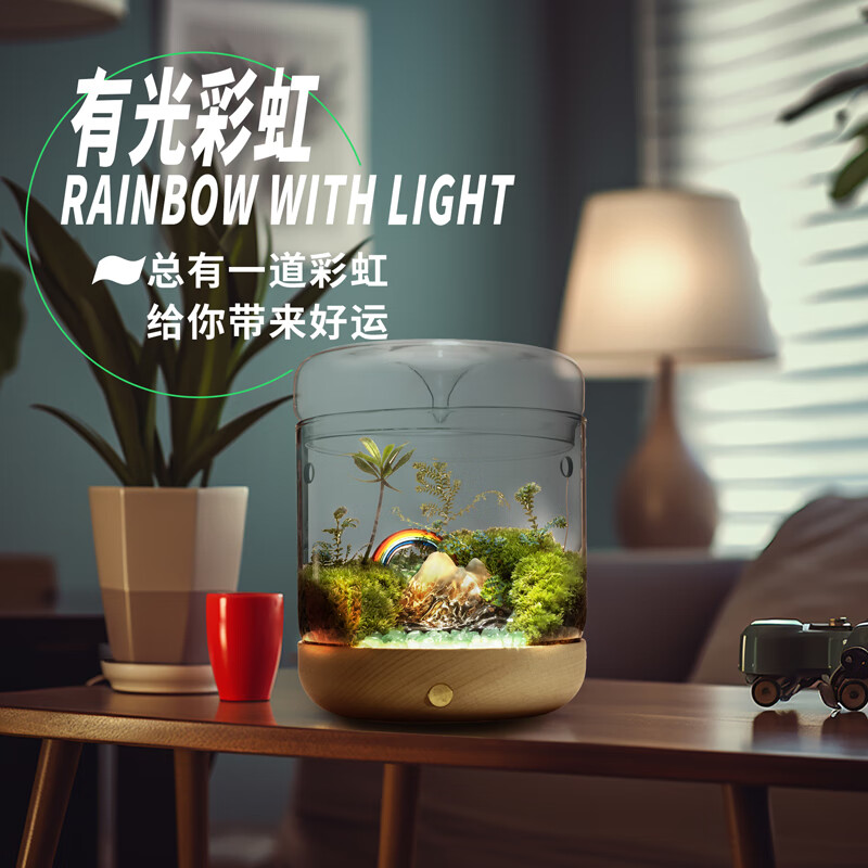 ����̦޺΢������̬ƿ�칫������ֲ����С���԰ڼ�DIY����ֲ������ �й�ʺ磨���