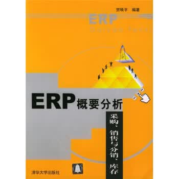 ERP概要分析【正版特惠】