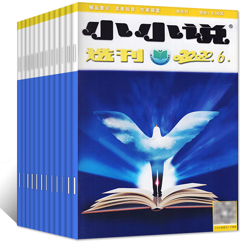 【全年珍藏】小小说选刊杂志2022年1-