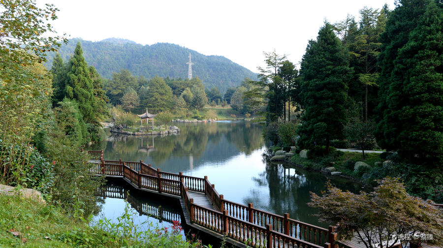 成人票 宁波余姚四明山 景点门票