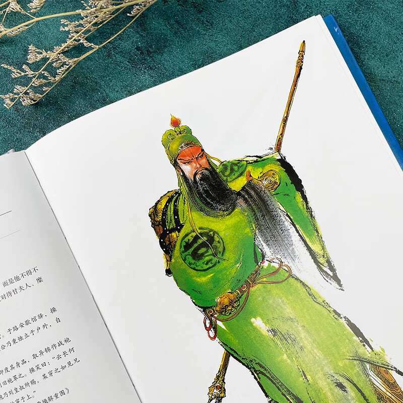 后浪官方正版 郑问之三国演义画集 人物点评版 郑问著 水墨画三国人物画像主题纪念画集 后浪漫漫画