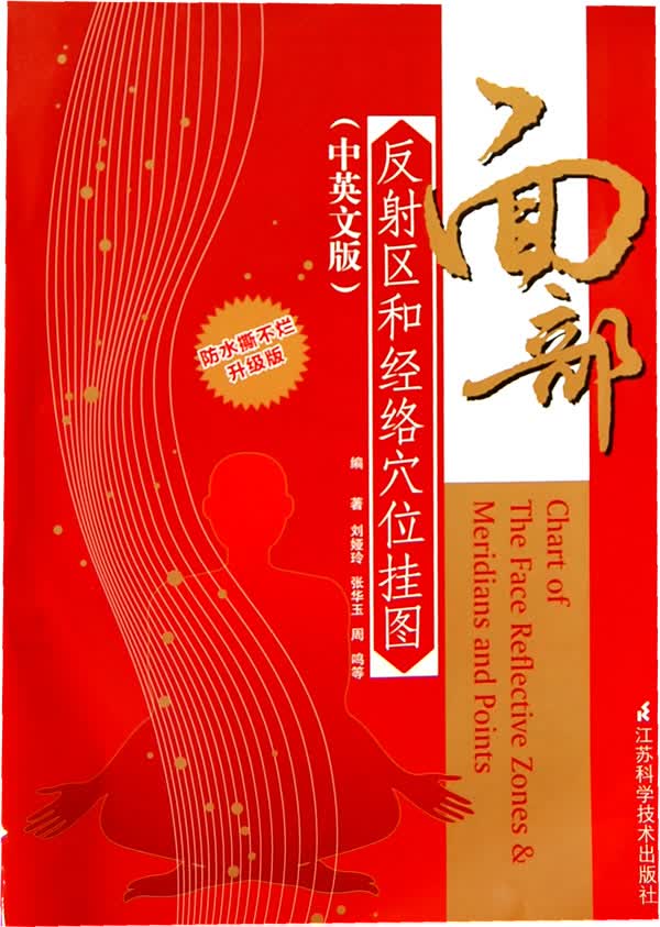 面部反射区和经络穴位挂图 刘娅玲【正版书】