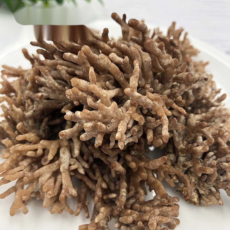 虎钢馋福建武夷山特产龙爪菇新鲜猫爪菇鸡爪菇菇老鼠爪500g特色食材