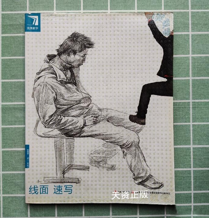【二手9成新】完美教学:线面速写 杨慎修主编 吉林美术出版社