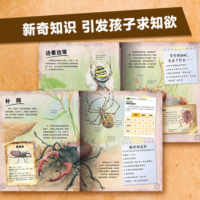动物王国大探秘 套装全12册(听恐龙讲故事儿童3-6岁幼儿园科普玩转科学百科图书籍故事书)详情图