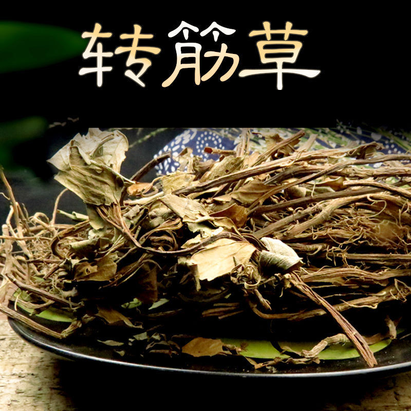 转筋草 中草药材  又名富贵草250克