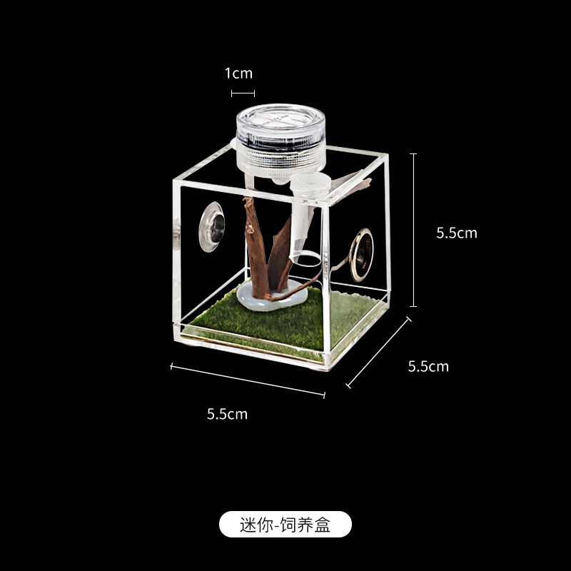 新宠之康爬虫跳蛛饲养亚克力透气爬宠螳螂蜘蛛蝈蝈昆虫生态饲养盒小宠