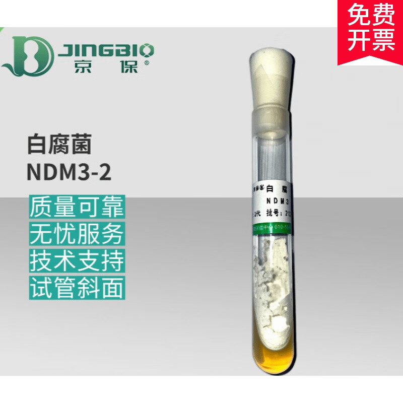 2代白腐菌ndm3-2白腐真菌菌株木质素分解黄孢原毛平革菌