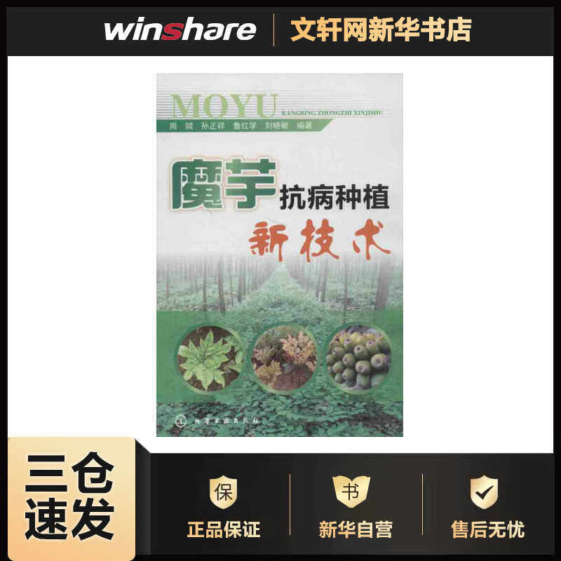 魔芋抗病种植新技术 周燚 等 书籍