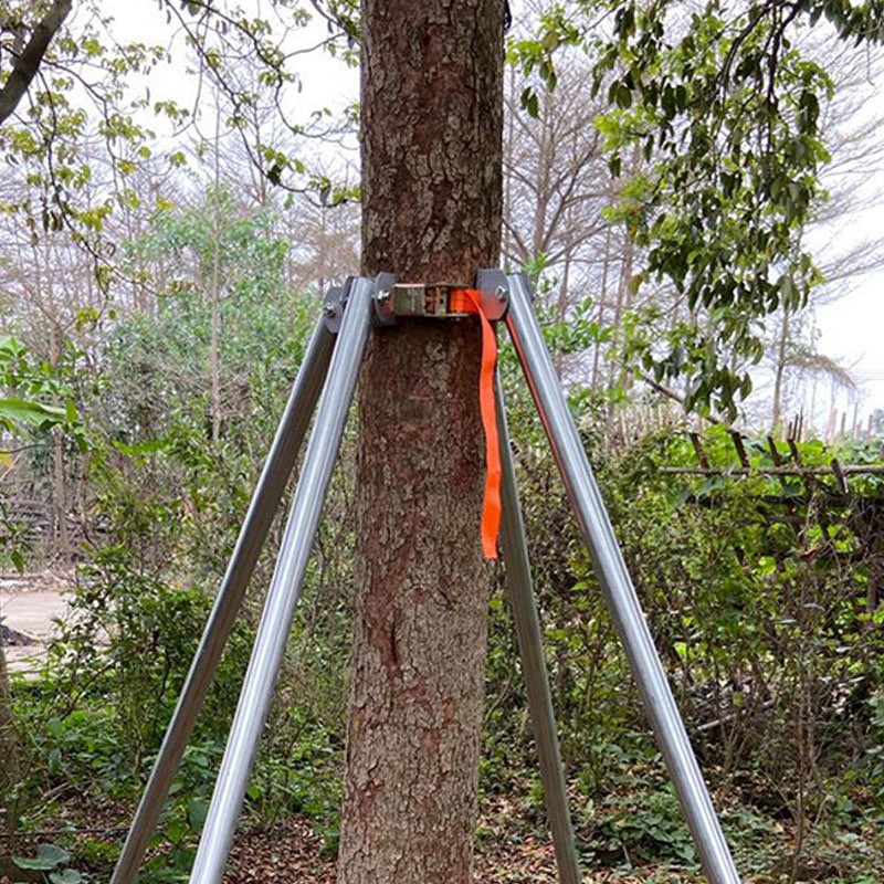 树木支撑架固器 镀锌钢管支撑杆 紧带式金属套杯防风支架 绑带 2米