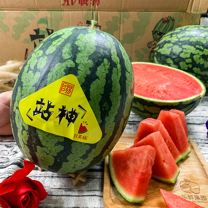 源外园乐鲜果园站神甘美4k西瓜1个新鲜脆甜多汁薄皮大西瓜当季时令