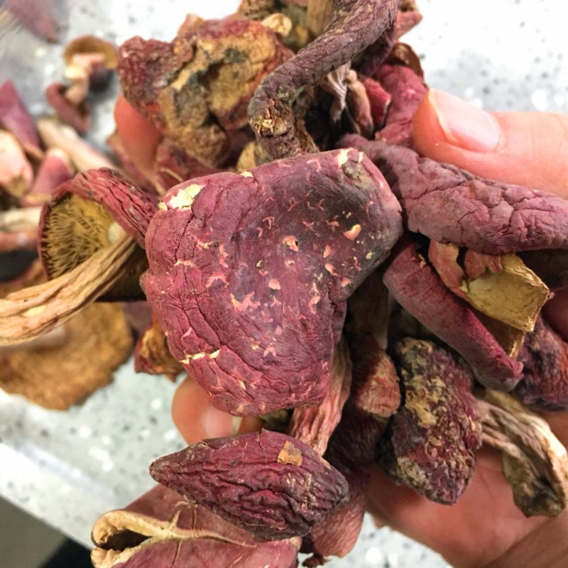虎钢馋云南红菇土特产干货野生菌食用香菇类红蘑菌大真红菌红菇散装