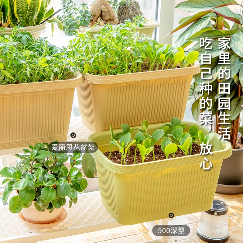 爱丽思塑料花盆特大号阳台种菜盆蔬菜种植箱长方形种菜箱种菜神器户外花箱花盆iris园艺批发大号 60cm长 浅型 绿色 虎窝购