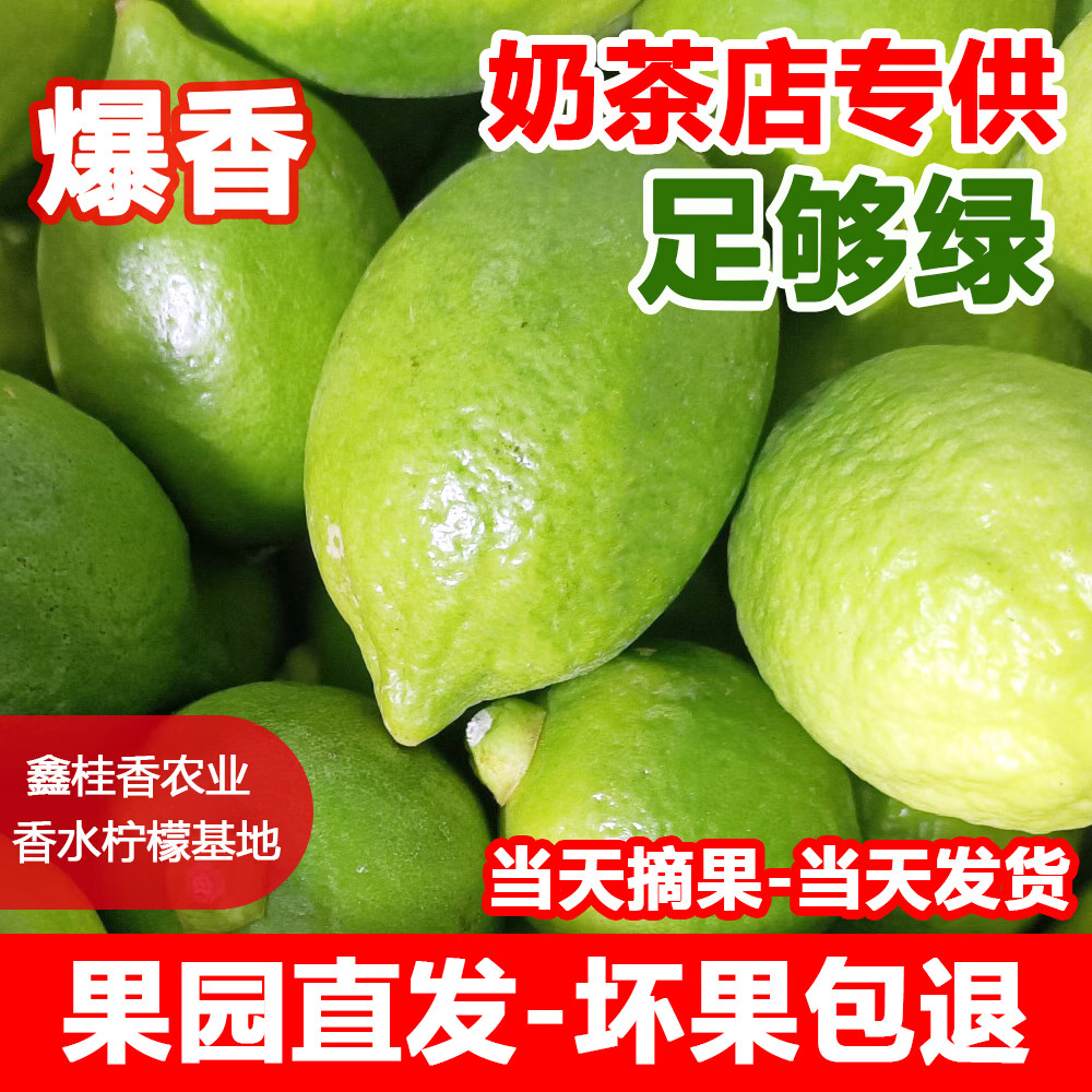 正宗广东香水柠檬爆香新鲜无籽柠檬精品一级果 每斤约5-7个 9斤（净重一级果奶茶店口味）