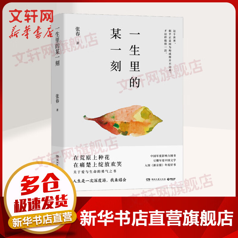 一生里的某一刻 升级修订版