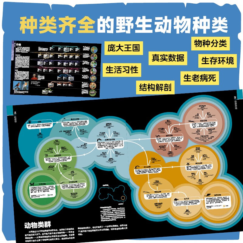 DK动物大百科 小学书单寒假书单暑假书单科普启蒙自主阅读课外读物科普百科 6-14岁小猛犸童书暑假阅读暑假课外书课外暑假自主阅读暑期假期读物详情图