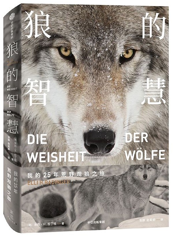 【官方】狼的智慧(我的25年荒野观狼之旅
