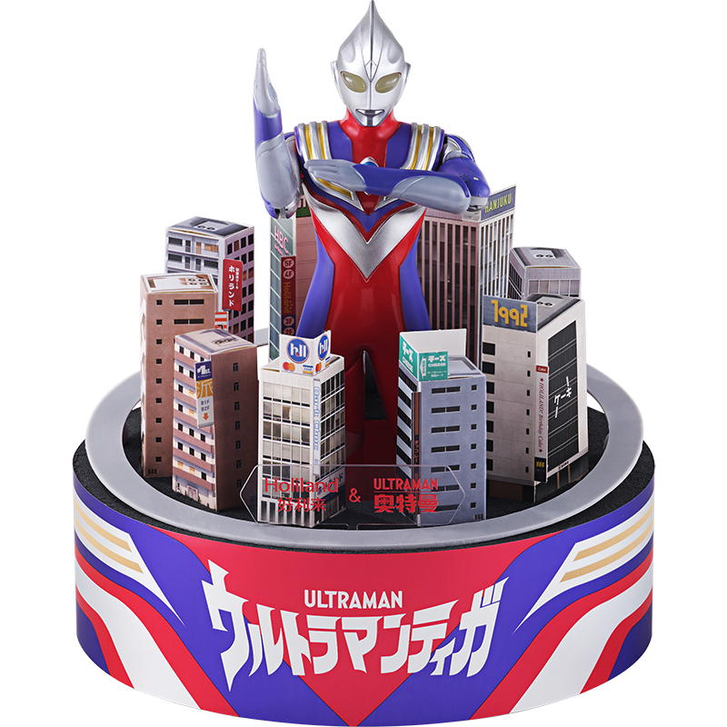 �������������������Ȱ���ζ����Ľ˹���� 24X16X5cm