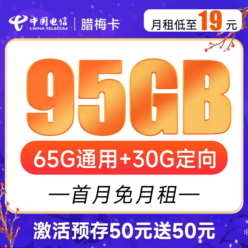 中国电信 不限速上网卡纯手机卡流量卡5G电话卡低月租全国通用号码卡 腊梅卡19元月租95G-LMK