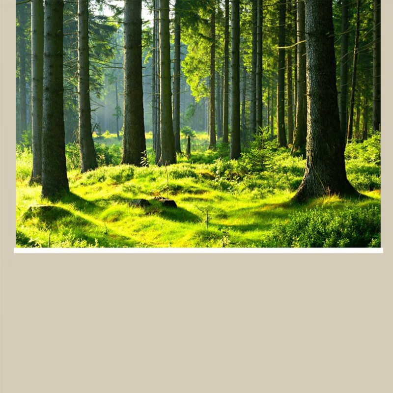 舟裕 竹林树林富贵竹卷帘挂画办公室客厅遮光遮阳上下升降隔断窗帘 18号 加厚全遮光双面图案/平方