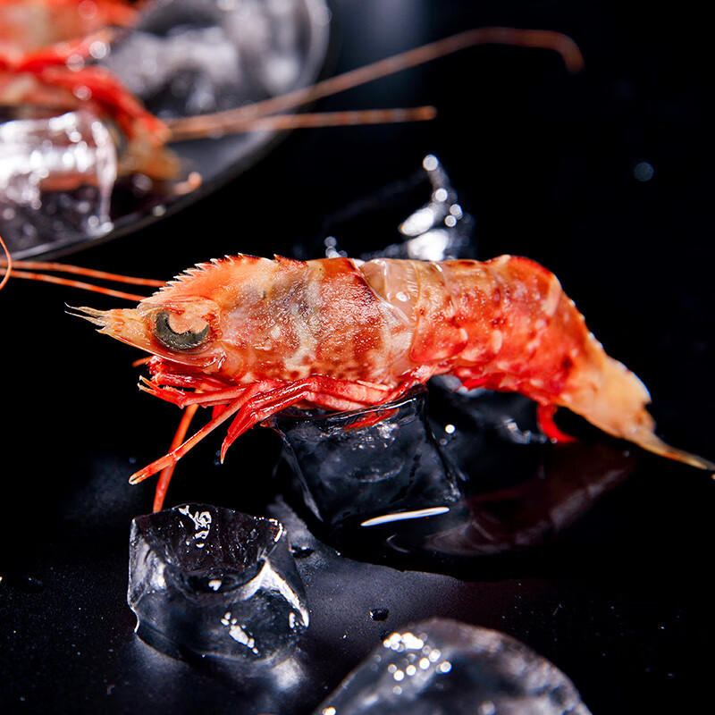 鲜可居 活冻鸡冠虾 东山岛海鲜 生腌高脊赤虾 深海海捕海虾 刺身冷冻