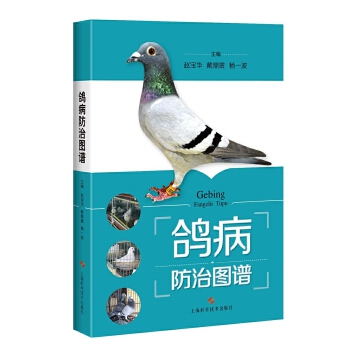 鸽病防治图谱 赵宝华 戴鼎震 杨一波【放心选购】