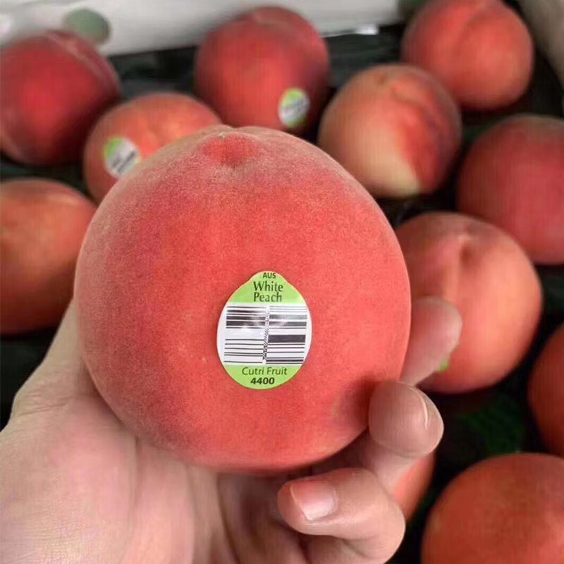 丰蔬果源澳洲水蜜桃超甜软桃公主桃毛桃新鲜进口水果 2斤装(约5-7个)