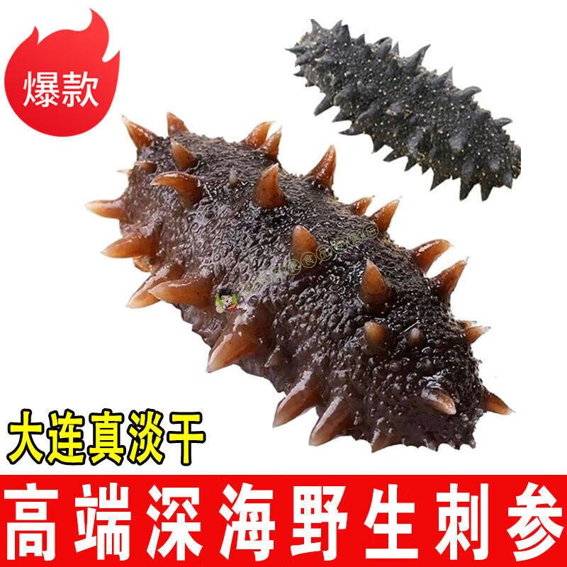 I小兵海參干大連純淡干海參干貨500g遼刺參非鮮活即食海參禮 有鮑魚稀缺野生母海參一