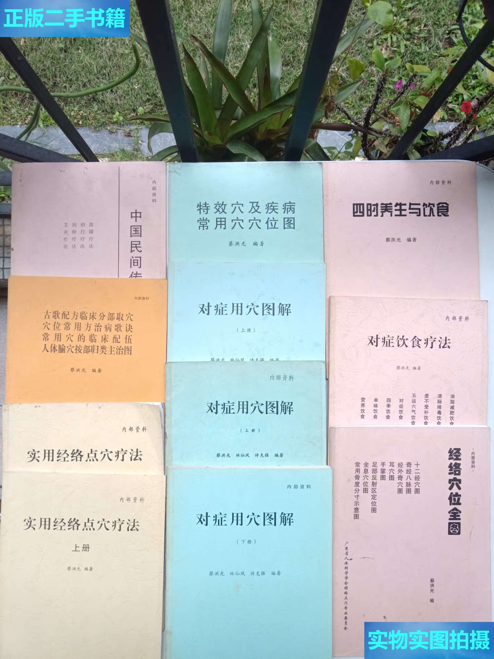 蔡洪光系列丛书11本合售:特效穴及疾病常用穴穴位图,实用经络点穴疗法