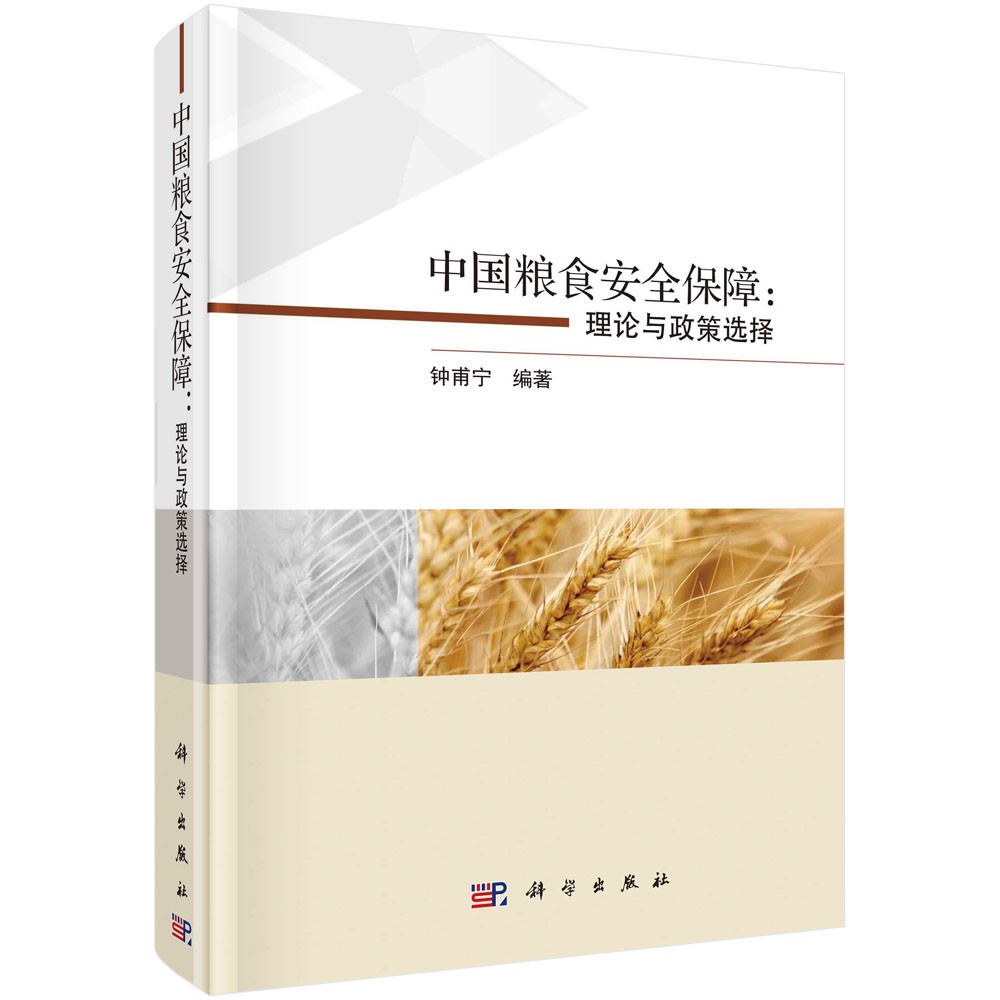 中国粮食安全保障：理论与政策选择