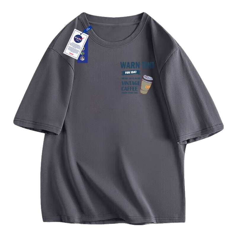 百亿补贴：NASA GISS官方潮牌联名T恤男潮流简约青少年纯棉休闲风短袖上衣 铁灰 3XL  41元