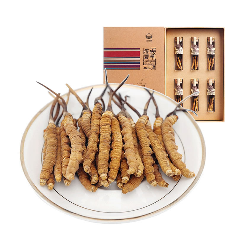 三江源冬虫夏草 青海玉树虫草4根1克 10克礼盒高海拔头期2023年虫草