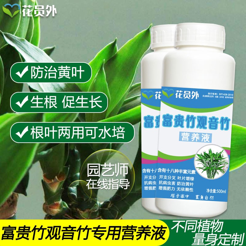 花员外富贵竹营养液水培植物专用肥料龙竹转运竹观音竹子水养富贵竹