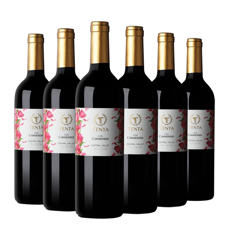 智利中央山谷 原瓶原装进口 天帕花标卡曼尼葡萄酒 品种级红酒干红750ml*6瓶整箱