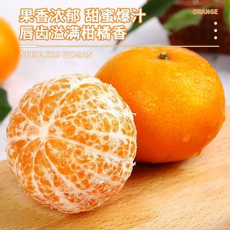 遇见悯农广西沃柑新鲜橘子当季时令水果老树桔子柑橘应季整箱水果 净重4.5斤中果100g起 甜蜜多汁