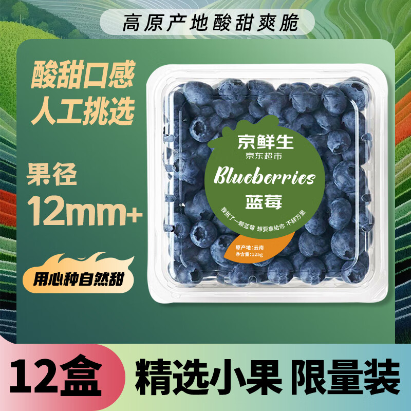 京鲜生 云南蓝莓 12盒装 果径12mm+ 新鲜水果 源头直发包邮