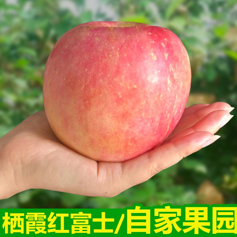 查看苹果历史价格的App|苹果价格走势图