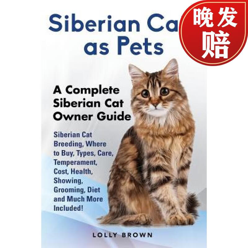 【4周达】siberian cats as pets: siberian cat breeding, where to